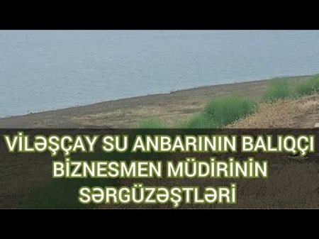 Masallıda Zaur Mikayılovun kadrı balıq biznesinə girişib - BU DA FAKT...