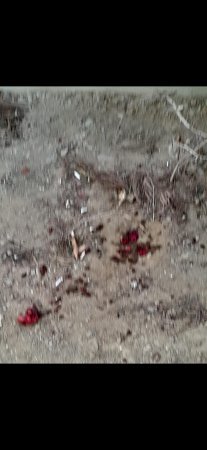 `Bulud Qaya` MTK vətəndaşı ÇİLƏDƏN ÇIXARDI... - "Hara və kimə müraciət edə bilərəm... BİLMİRƏM"