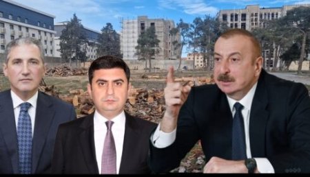 Ekologiya naziri və Xəzər rayon icra başçısından prezidentə sayğısızlıq: Mərdəkanda “Yaşıl soyqırım”ı kim icra edir? – VİDEO
