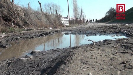 Camaat yol deyib... DAD DEYİR... - AXI NİYƏ?