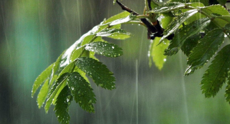 Sabah hava necə olacaq?  – PROQNOZ